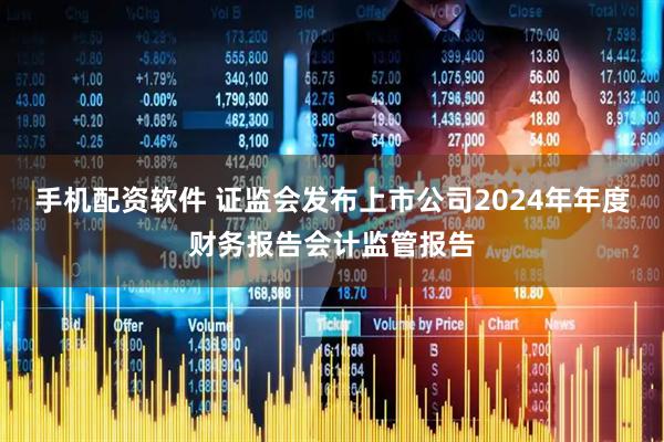 手机配资软件 证监会发布上市公司2024年年度财务报告会计监管报告