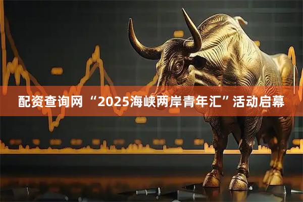 配资查询网 “2025海峡两岸青年汇”活动启幕